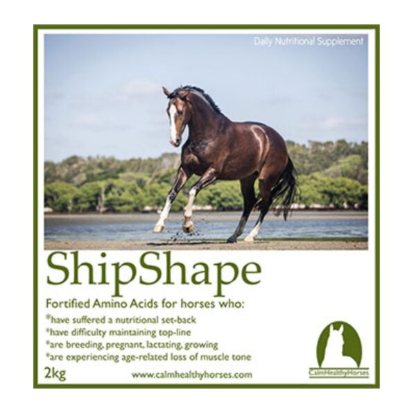 ShipShape