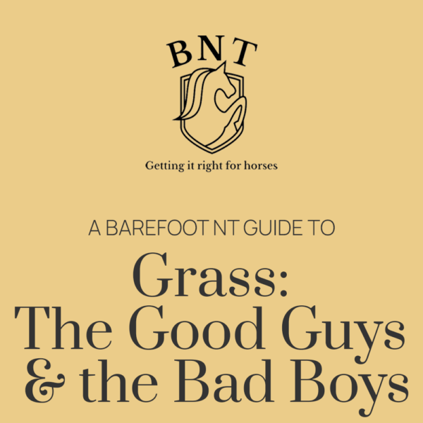 A guide to Grass: The Good Guys and the Bad Boys