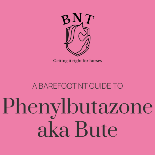 A guide to Phenylbutazone aka Bute