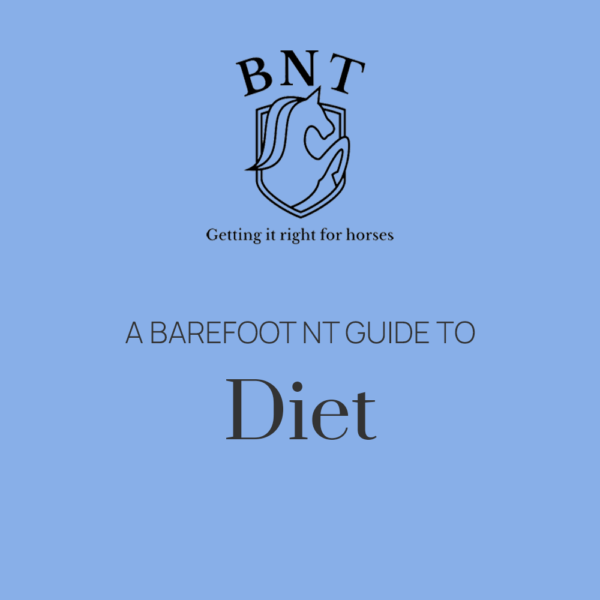 A guide to Diet