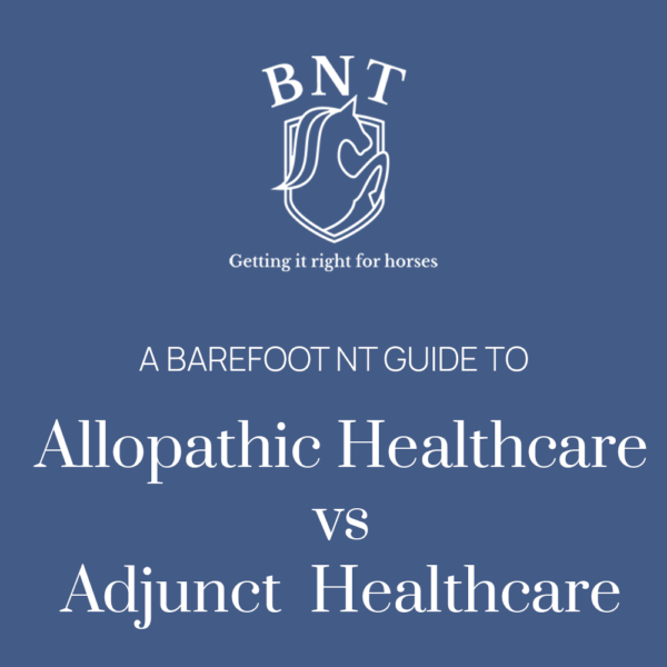 Allopathic Healthcare vs Adjunct  Healthcare